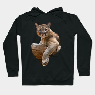 I am not amused Cougar Hoodie